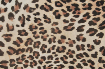 Tissu léopard // TPA32