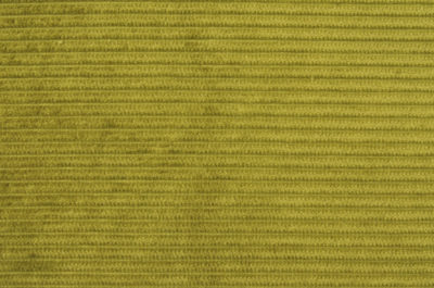 Tissu velours côtelé vert clair // TPA37