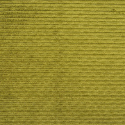 Tissu velours côtelé vert clair // TPA37