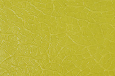 Tissu jaune-vert // TPA54